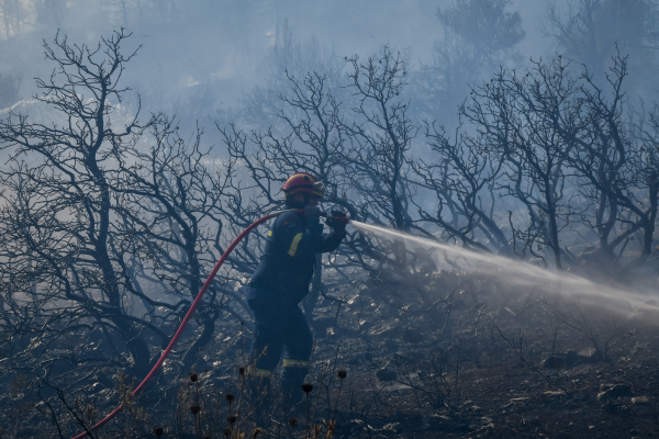 Σε ύφεση η φωτιά στην Κάζα – Συγκλονίζουν οι μαρτυρίες στο Dnews (εικόνες, βίντεο)