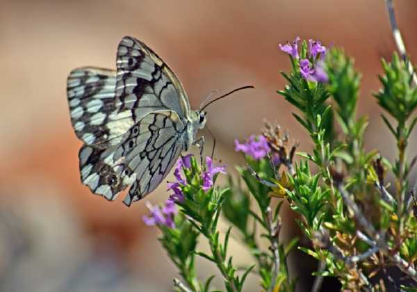 Ανοιξιάτικος ο καιρός σήμερα Δευτέρα 23/5