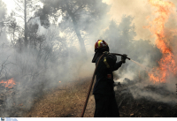 Φωτιά τώρα και στον Αλμυρό Βόλου, μεγάλη κινητοποίηση της Πυροσβεστικής