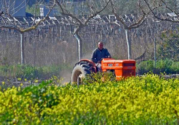 Πάνω από 22.000 αγρότες έχουν επωφεληθεί από το «Πρόγραμμα Συμβολαιακής Γεωργίας» της Τράπεζας Πειραιώς