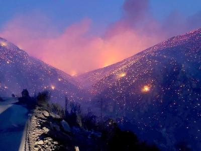 Φωτιά καίει δάσος στο Δίστομο Βοιωτίας, 22 Αυγούστου 2023.