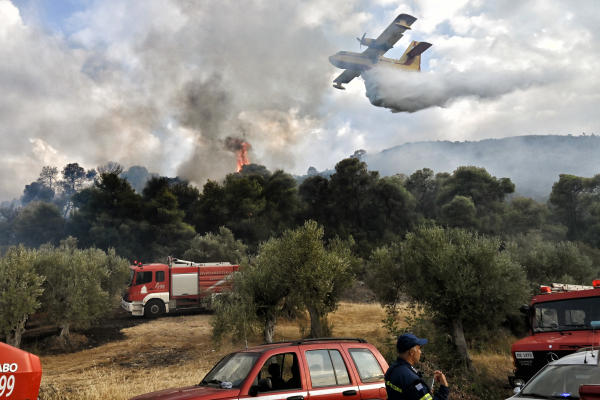 Μεγάλη φωτιά τώρα στο Πήλιο, κινητοποίηση της Πυροσβεστικής