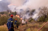 Μεγάλη φωτιά στη Βοιωτία - Σηκώθηκαν αεροσκάφη