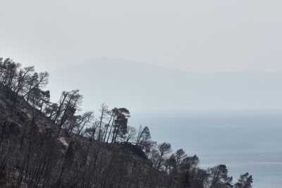 Στήριξη των πυρόπληκτων της Ευβοίας ανακοίνωσαν Αποστόλου και Κουντουρά