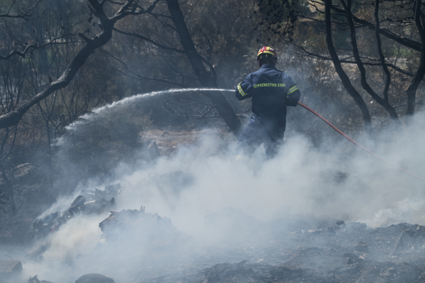 Φωτιά στην Καλλιθέα Πατρών: Μήνυμα από το 112 για εκκένωση δύο οικισμών