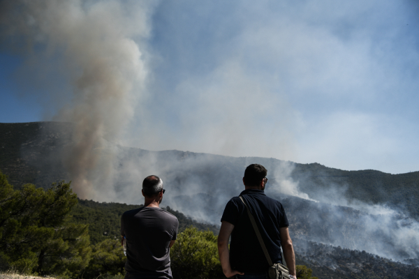 Φωτιά σε δασική έκταση στη Σμέρνα Ηλείας