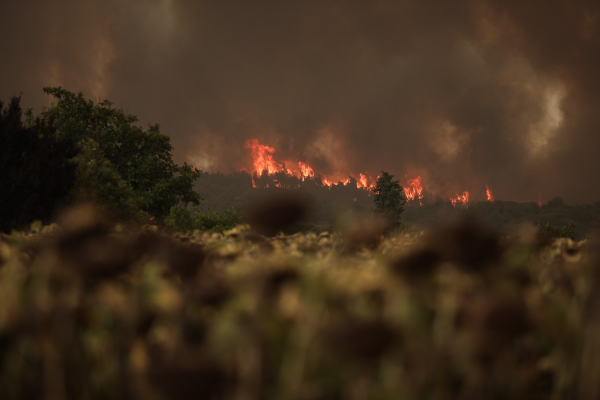 Μάχη με τις φλόγες σε όλη την Ελλάδα: Παραμένει δραματική η κατάσταση στην Εύβοια - Κάηκαν σπίτια στη Μεσσηνία (βίντεο)
