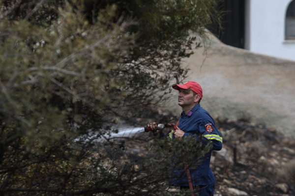 Φωτιά καίει δασική έκσταση στην Αλεξανδρούπολη