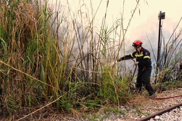 Σαράντα δύο δασικές πυρκαγιές σε όλη την Ελλάδα, το τελευταίο 24ωρο