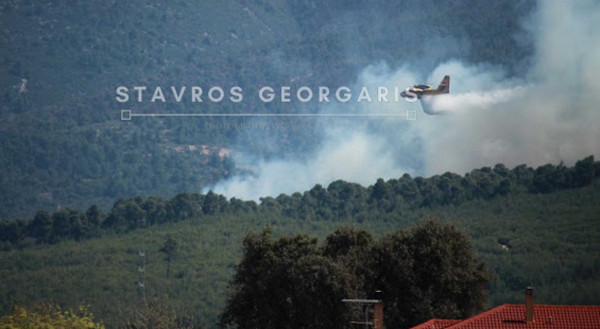 Φωτιά σε δασική έκταση στην Κορινθία