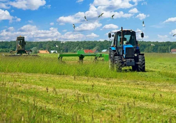 ΕΛΓΑ: Σήμερα η καταβολή χρημάτων σε δικαιούχους αγρότες και κτηνοτρόφους