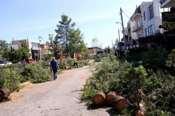 Νέο Ηράκλειο: Ο ανεμοστρόβιλος «πέταξε» ένα σκύλο από τη μία ταράτσα στην άλλη (vid)