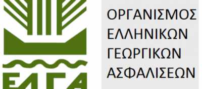 Τις Χαλαζόπληκτες Περιοχές Των Πρεσπών Επισκέφθηκε Ο Πρόεδρος Του ΕΛΓΑ