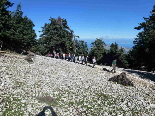 Θέσεις εργασίας στον Φορέα Διαχείρισης Εθνικού Δρυμού Αίνου