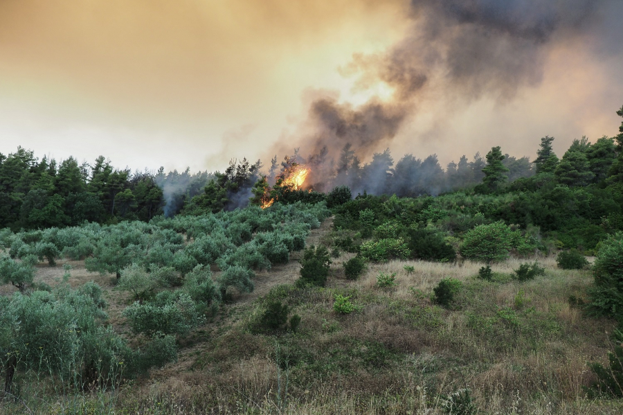 Πολύ υψηλός ο κίνδυνος φωτιάς σε πέντε περιφέρειες την Τρίτη 10/8